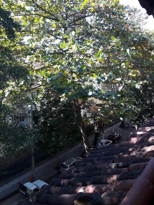 Vaga Em Hostel No Leblon Rio de Janeiro Zewnętrze zdjęcie